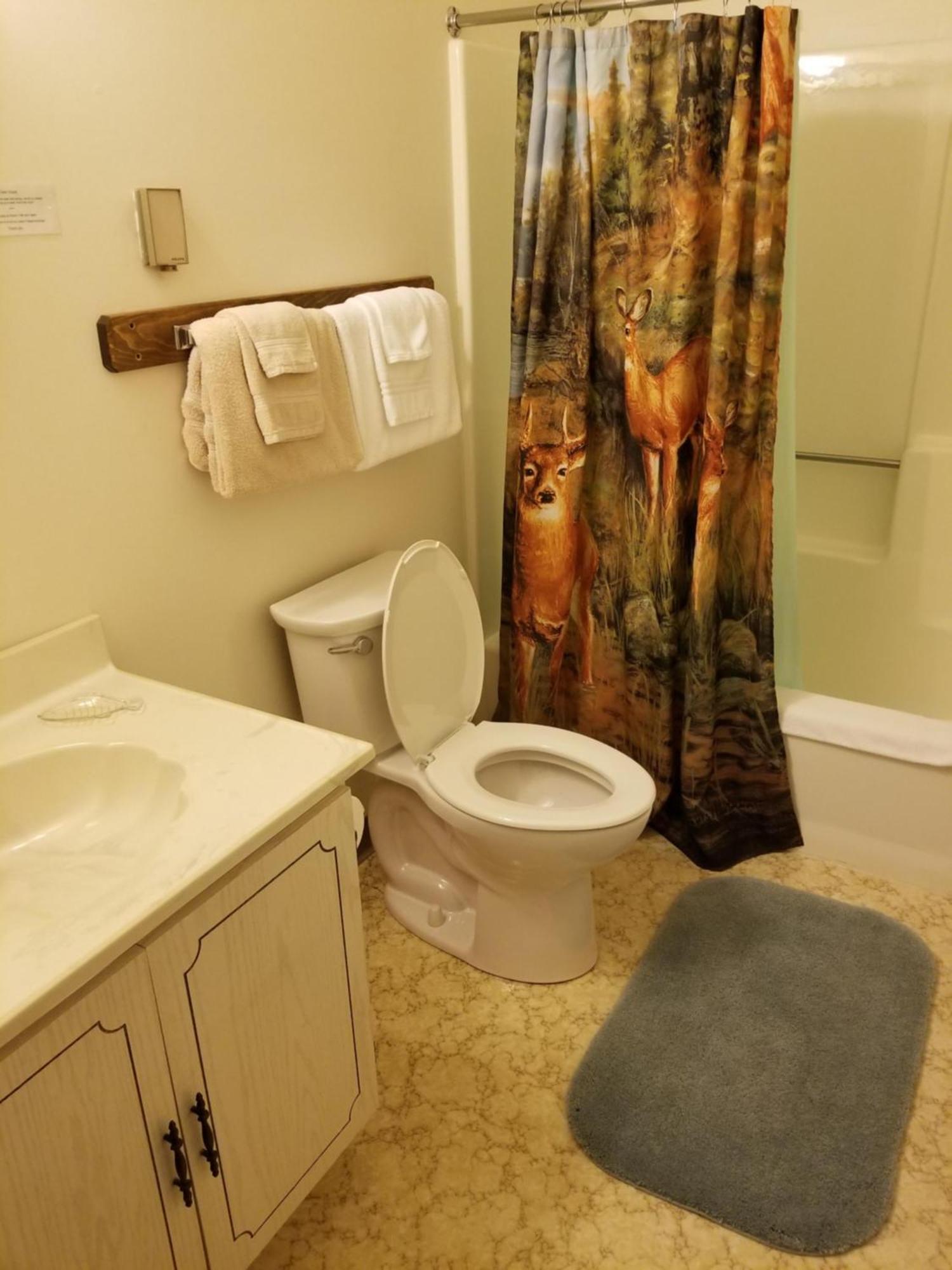 Kancamagus Swift River Inn Albany Cameră foto